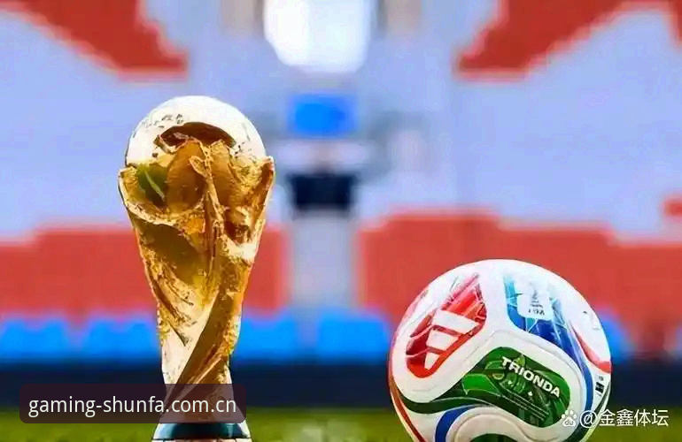 揭秘世界杯“冷场”背后的真相：战火、签证与顺发体育平台上的空看台
